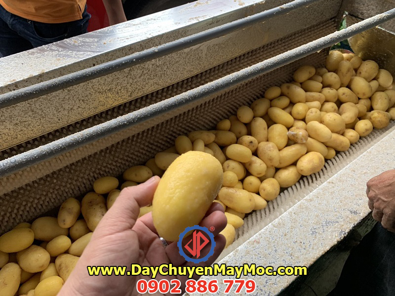 Máy rửa bóc vỏ khoai lang, khoai tây áp dụng cho dây chuyền sản xuất snack khoai tây chiên hiệu quả